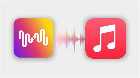 how to follow someone on apple music and the importance of creating playlists